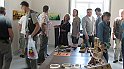 IMG_0531