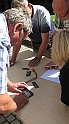 IMG_0606